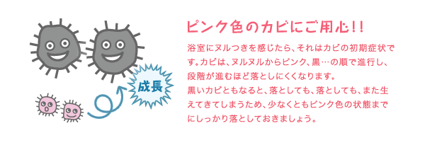 ピンク色のカビにご用心!