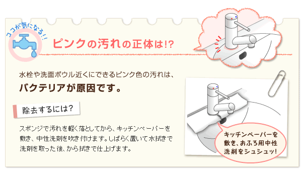 ピンク汚れの正体は!?